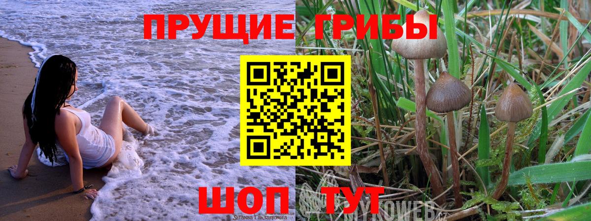 Ливны  Галлюциногенные грибы Cubensis  Вход с VPN 
